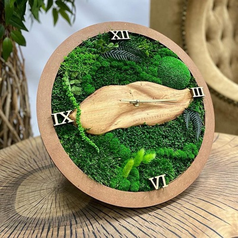 苔藓挂钟，苔藓装饰，绿色装饰，生态装饰 - 时钟/闹钟 - 植物．花 
