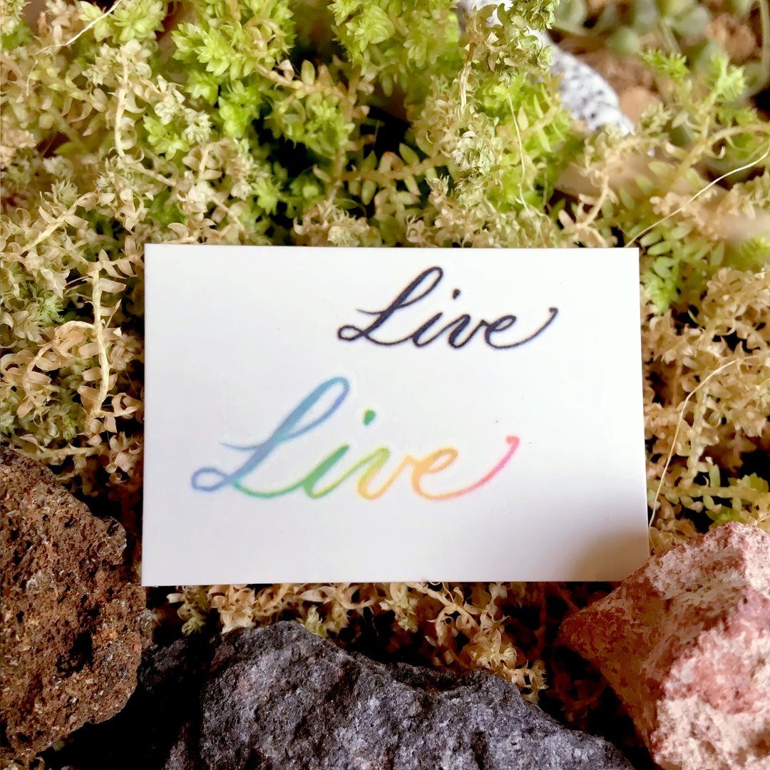 手绘水彩英文字书法纹身贴纸彩虹简约小清新迷你刺青Live梦想生活 - 纹身贴 - 纸 多色