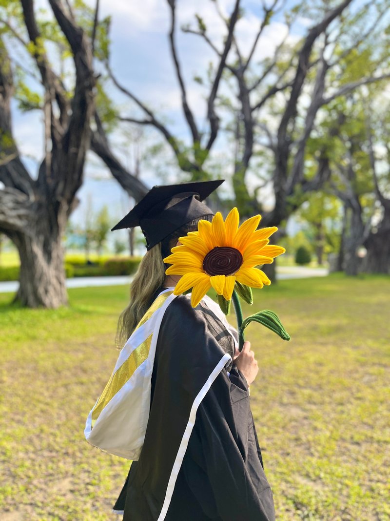 毕业向日葵巨大毛根花束 - 植栽 - 其他材质 