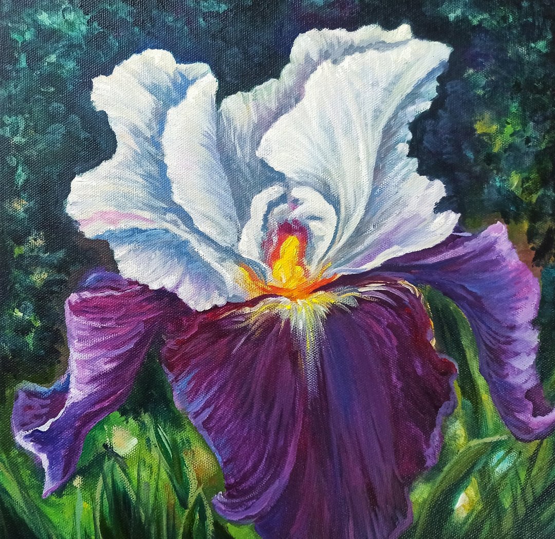 鸢尾花绘画花卉原创艺术鸢尾花油画布花卉艺术品 - 海报/装饰画/版画 - 其他材质 紫色