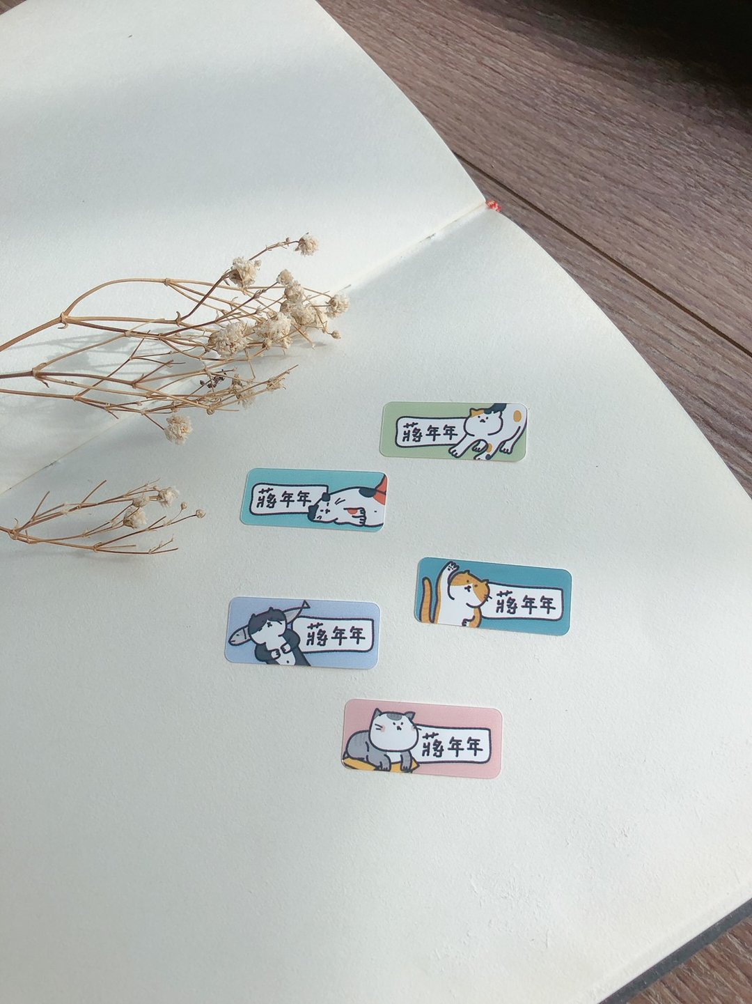 猫咪系 长型款 姓名贴 手绘姓名贴 140张 - 贴纸 - 防水材质 透明