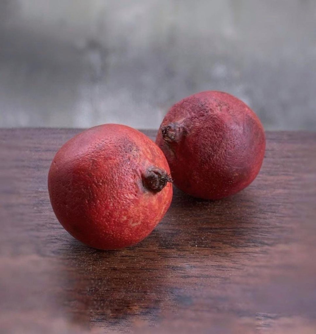 Miniature pomegranate. TUTORIAL polymer clay. Mini food. Fake fruits. jewelry di - 玩具/玩偶 - 粘土 