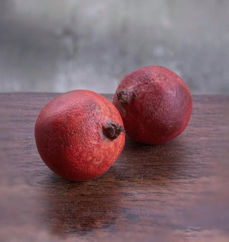 Miniature pomegranate. TUTORIAL polymer clay. Mini food. Fake fruits. jewelry di - 玩具/玩偶 - 粘土 