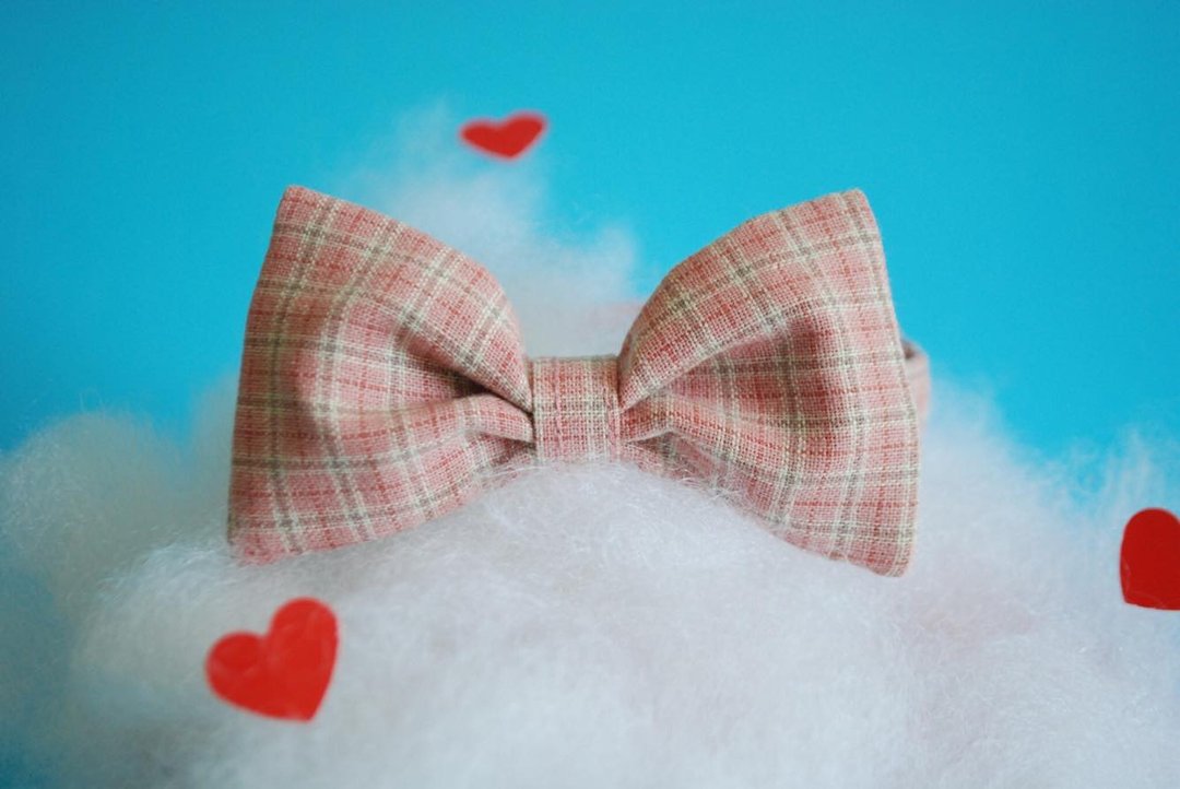 A-NI Dog Collar and Puppy Valentine's version - 项圈/牵绳 - 棉 粉红色