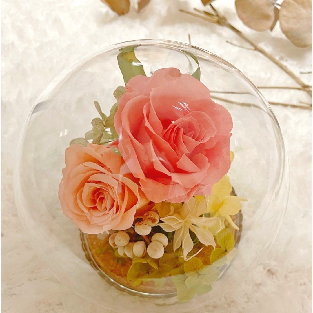 【花诉花艺】永生花玻璃盅/开幕花礼/升迁花礼/祝贺花礼 - 干燥花/捧花 - 植物．花 多色