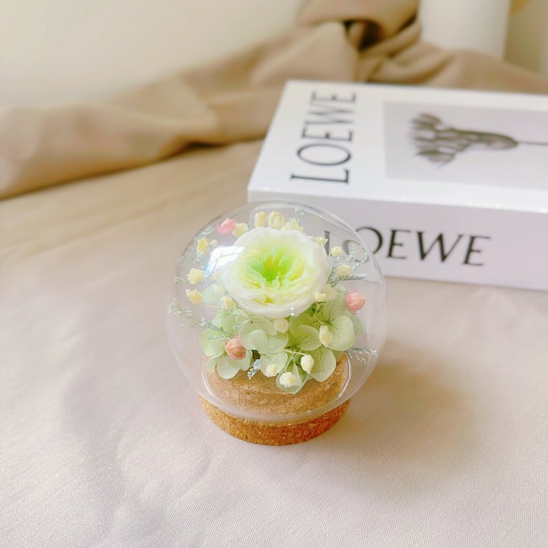 莳漫花间— 春日初醒 玻璃花盅 春季 毕业礼物 - 干燥花/捧花 - 植物．花 绿色