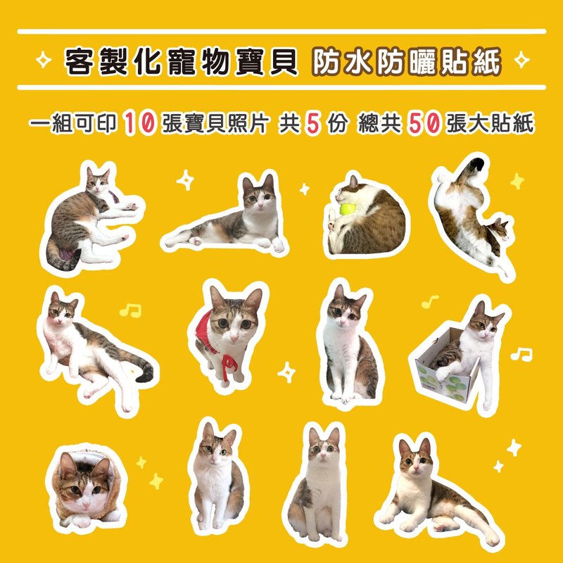 定制化 宠物防水贴纸 ㄧ组10款图 共50张 ( 宠物猫狗人像 ) stick - 贴纸 - 纸 黄色