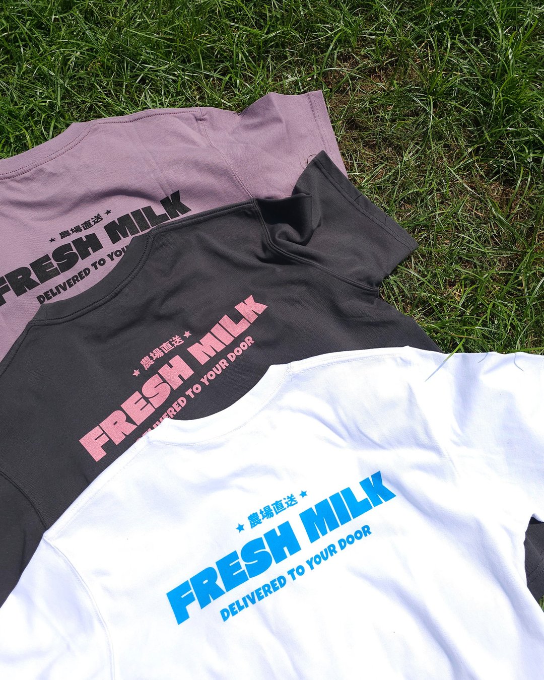 农场直送 Fresh Milk T恤 - 女装 T 恤 - 棉 白色