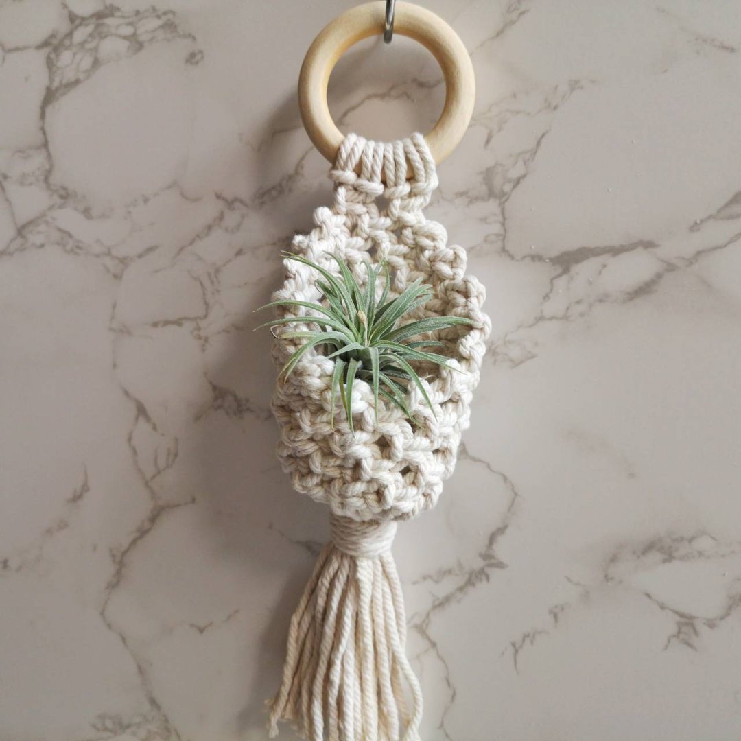 木环植物吊篮【 Macrame plant hanger 】 - 植栽/盆栽 - 棉 