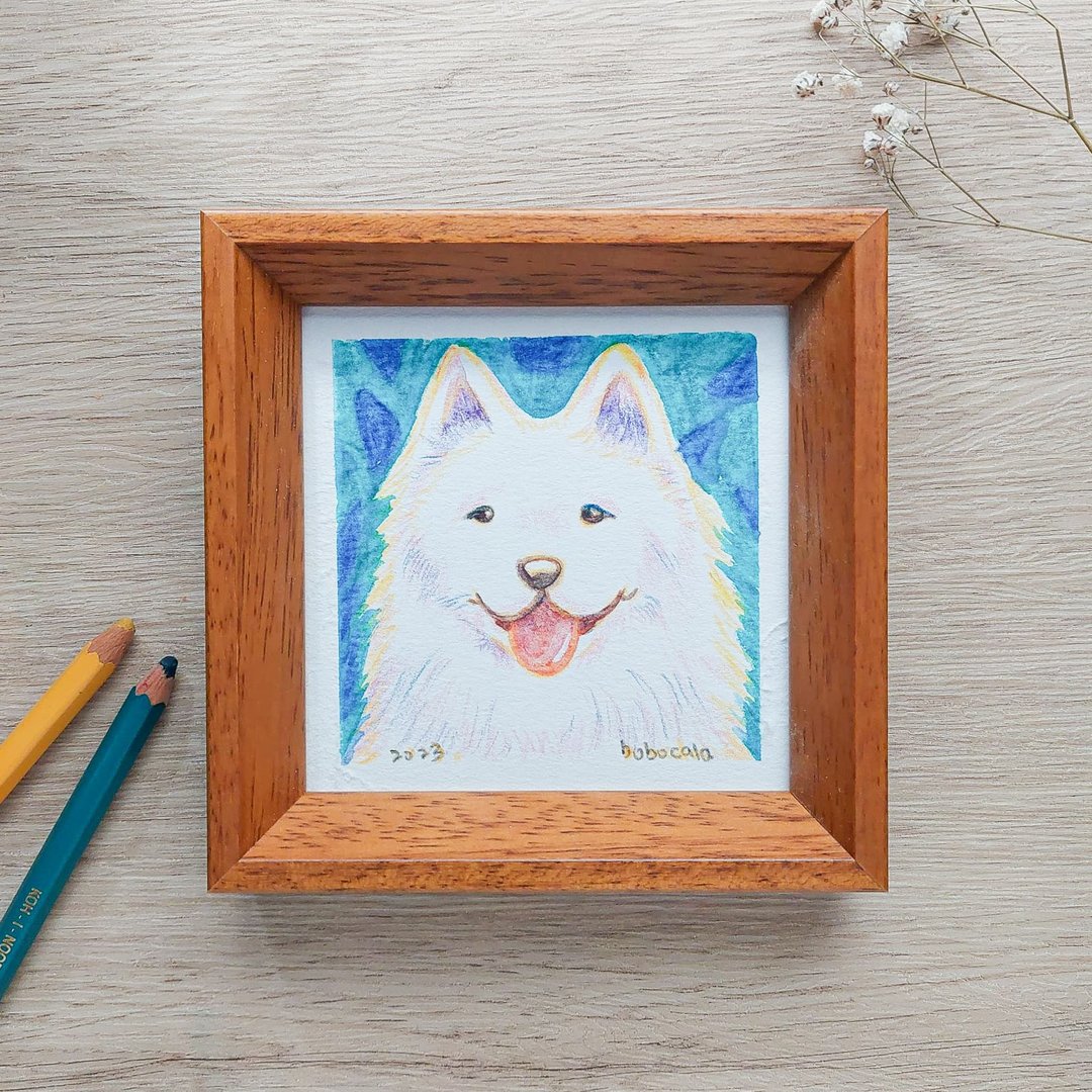 萨摩耶狗狗插画/ 色铅笔宠物纪念画 - 订制画像 - 纸 多色