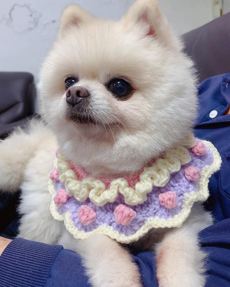 手工编织 l 宠物兜兜领巾 - 衣/帽 - 棉．麻 多色