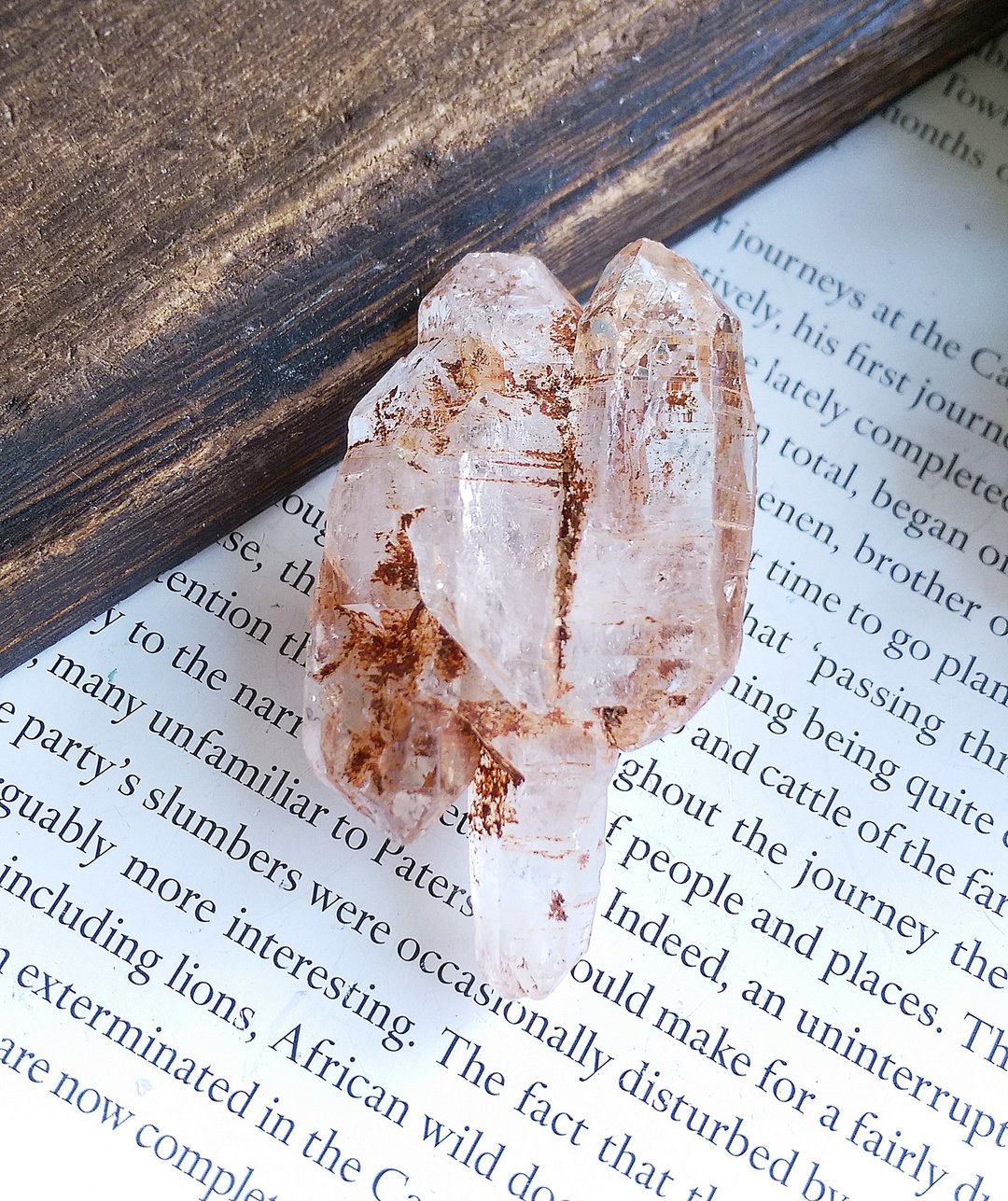 Red Mud Skeletal Quartz 马达加斯加 红泥骸骨水晶 天然矿石 - 摆饰 - 其他材质 