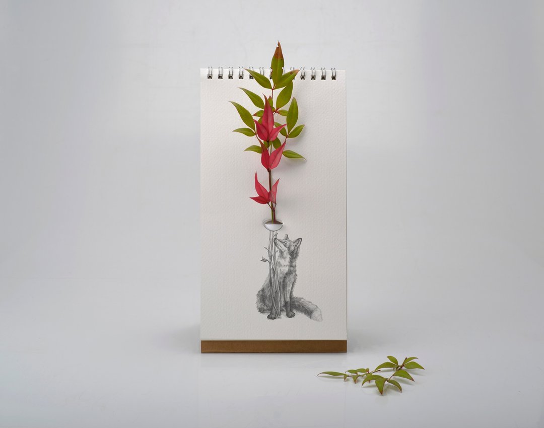 翻页花器 - 野生动物 - 植栽/盆栽 - 纸 白色