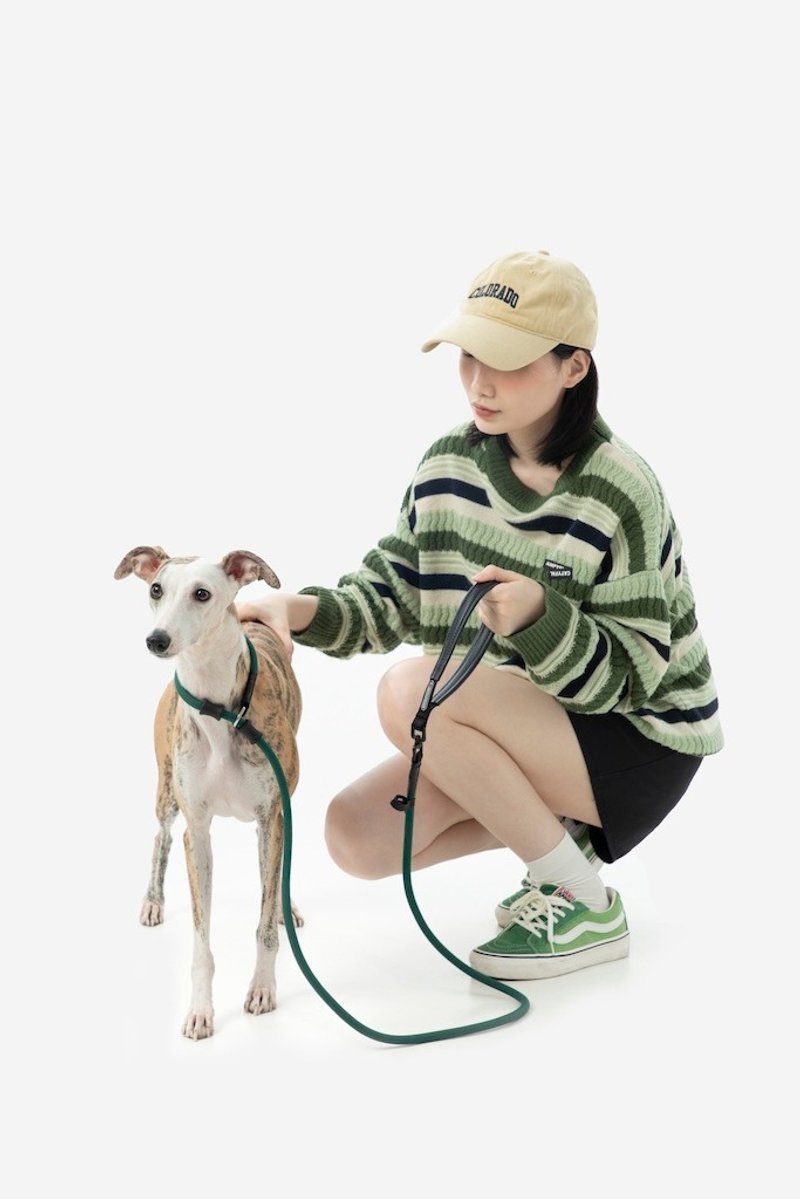 【HiDREAM】狗狗牽引繩 防爆衝一體P繩 攀岩級尼龍繩 - 项圈/牵绳 - 尼龙 多色