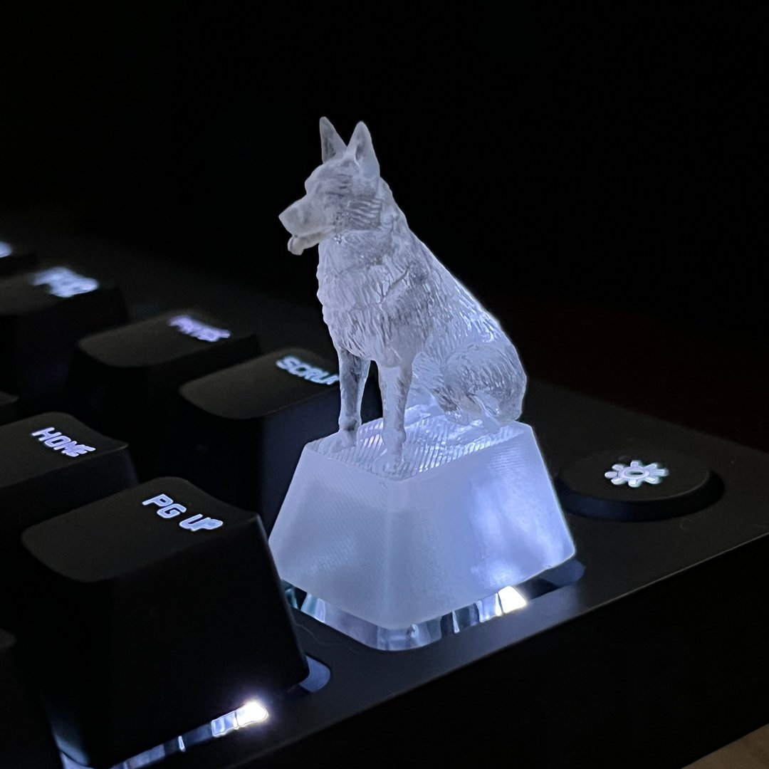 键帽, 狗牧羊人, 透明, 清晰, 游戏, 键盘, 樱桃MX - 其他 - 塑料 透明