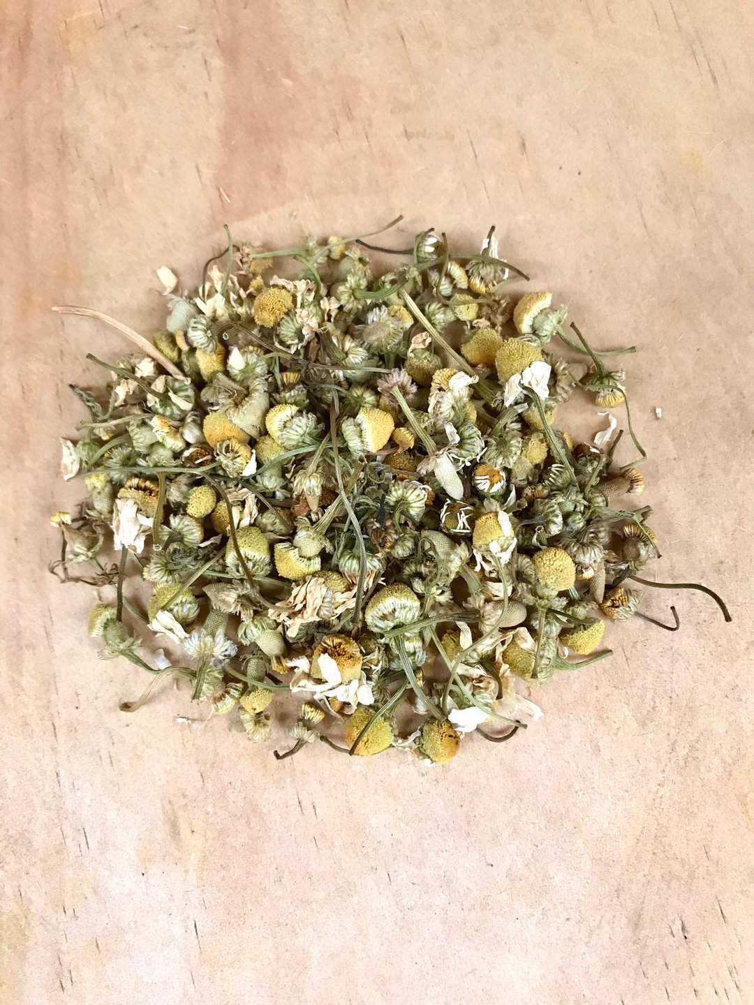 德国洋甘菊 Chamomile - 茶 - 植物．花 