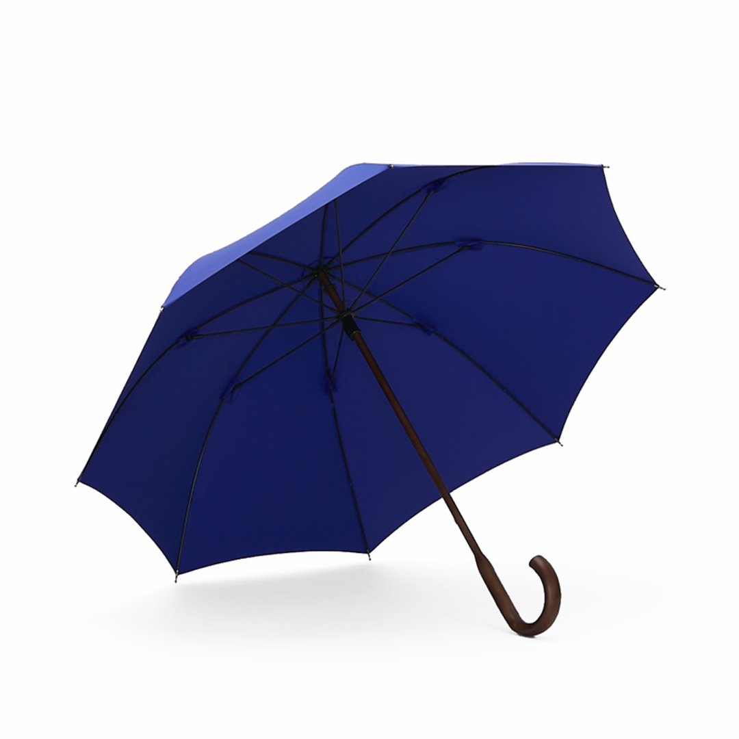 CLASSIC WOODEN 经典威登木直伞 - 深邃蓝 - 雨伞/雨衣 - 聚酯纤维 蓝色