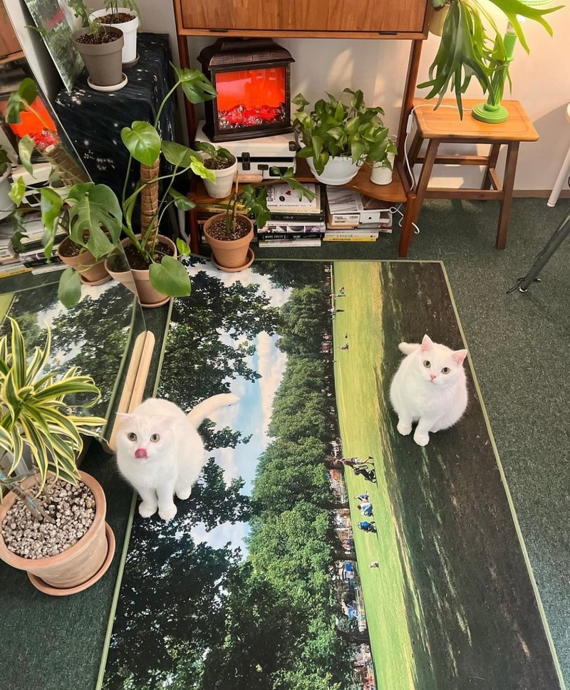 伦敦绿色公园地毯 - 地垫/地毯 - 聚酯纤维 绿色