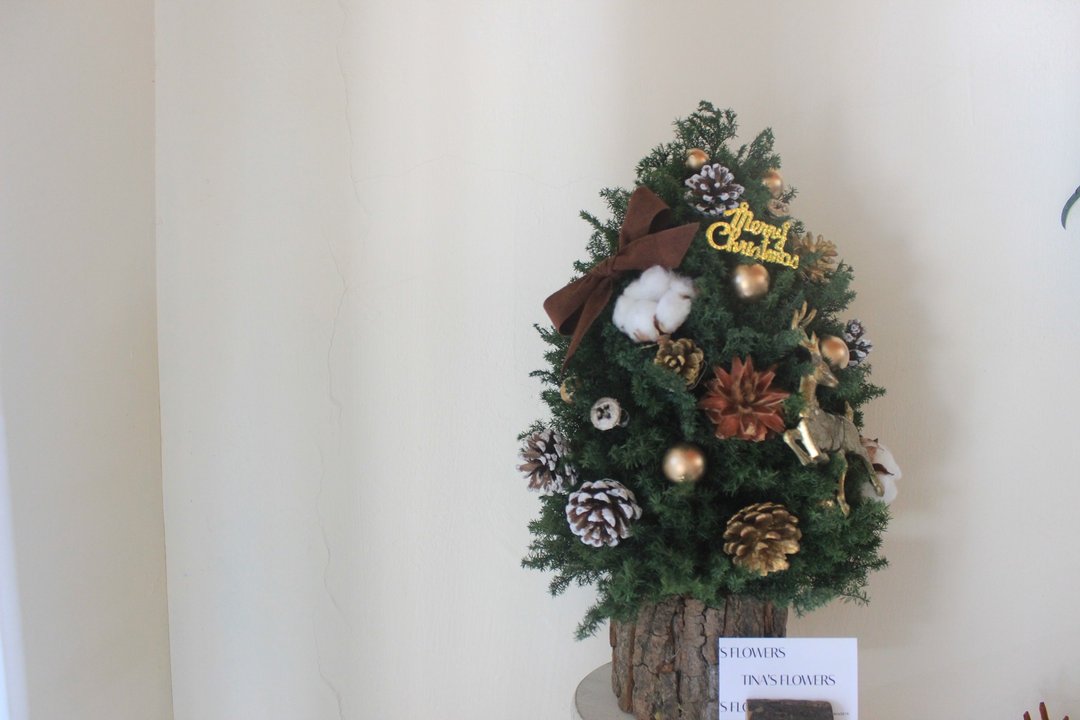 永生经典圣诞树  Classic Christmas Tree  定制圣诞树 圣诞花礼 - 摆饰 - 植物．花 绿色
