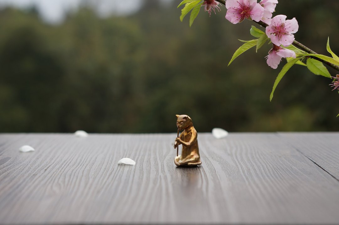 知音猫吹箫猫摆件微景观茶宠 - 摆饰 - 铜/黄铜 金色