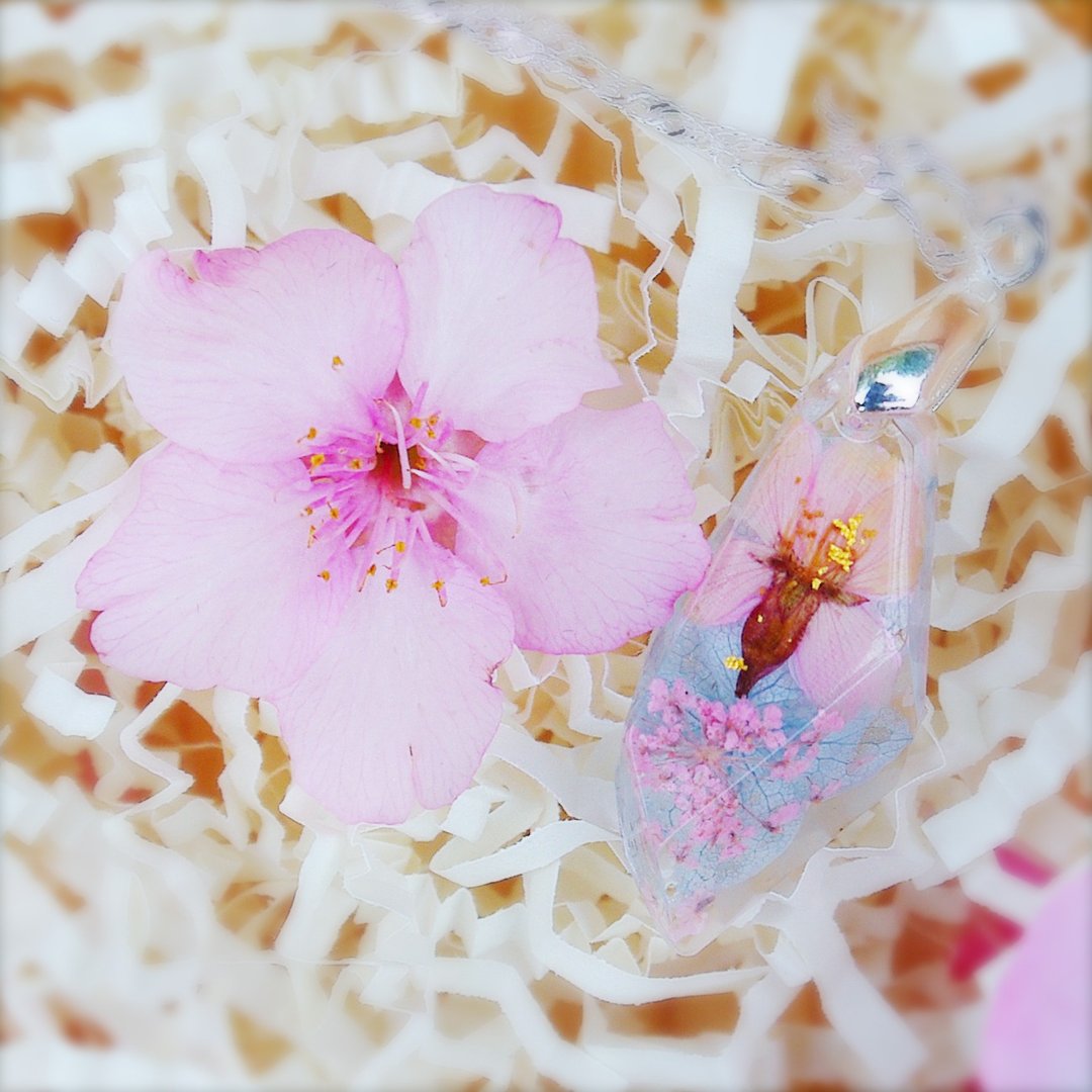 当季・日本关西樱花 - 真花宝石项链・永生花・纯银 / 花说 - 项链 - 植物．花 粉红色