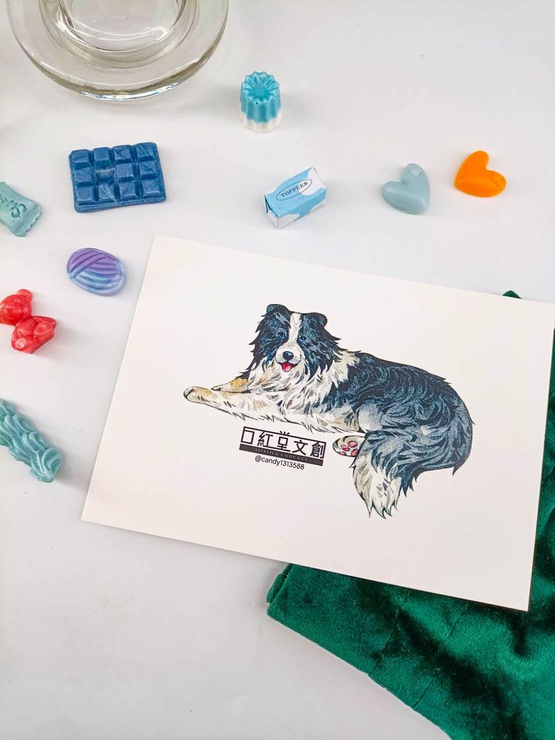 KR474_口紅堂明信片_邊境牧羊犬3_candy1313588 postcard - 卡片/明信片 - 纸 多色