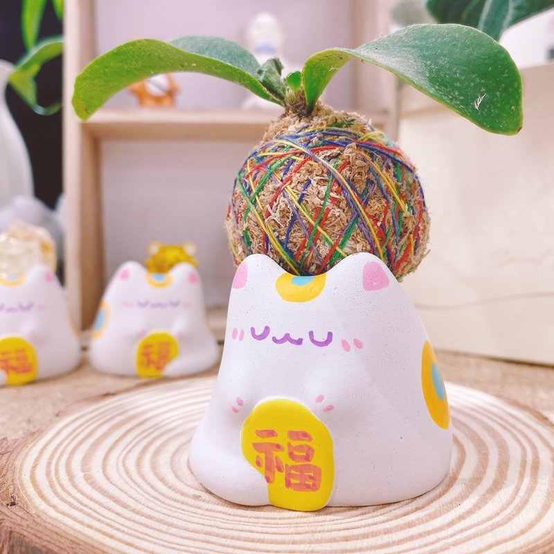 招财喵手工扩香石 水晶扩香 干燥花 永生花 香氛石 苔球 水晶 - 香薰/精油/线香 - 水泥 