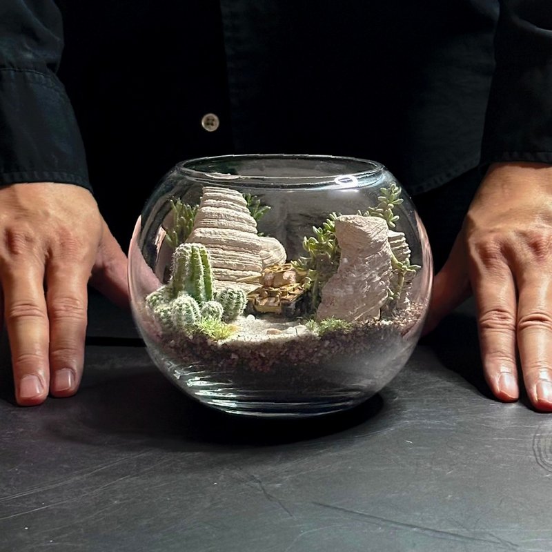 沙狐之影 / 手工定制化微景观生态盆 - 植栽/盆栽 - 植物．花 