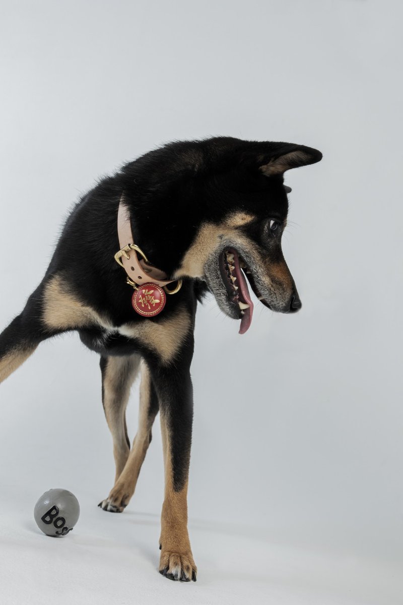 春福财发真皮吊饰 宠物 钥匙 配件  发字L尺寸 - 吊饰 - 真皮 红色