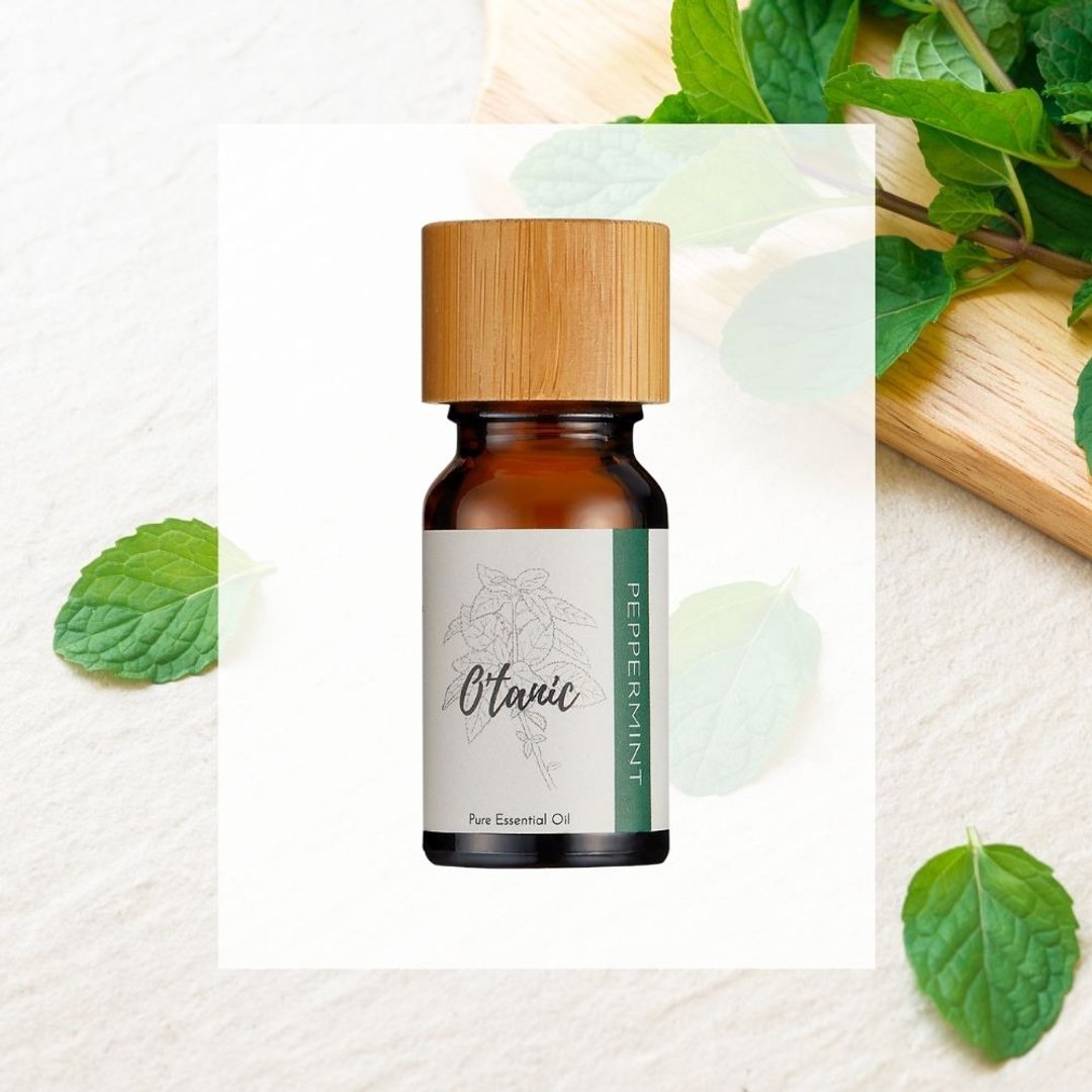 O'tanic【薄荷精油】芳疗精油 / 天然精油 / 薰香精油 / 放松精油 - 香薰/精油/线香 - 精油 