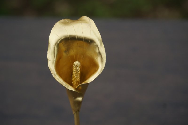 溪山手作 手工黄铜艺术马蹄莲黄铜发簪饰品复古 - 发带/发箍 - 铜/黄铜 