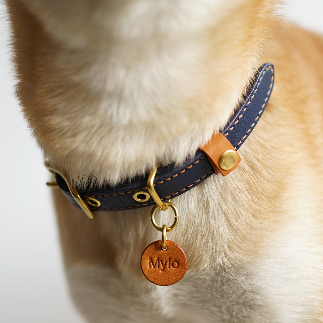 HUANGS 艹一田人【宠物必备】缝线宠物项圈  PET COLLAR - 项圈/牵绳 - 真皮 