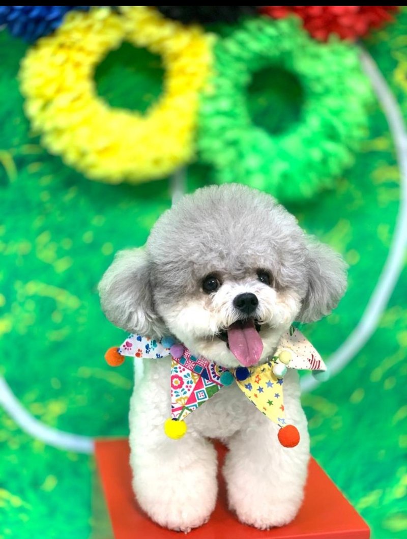 宠物 猫犬 彩球小丑派对围巾 狗狗 - 项圈/牵绳 - 棉．麻 多色