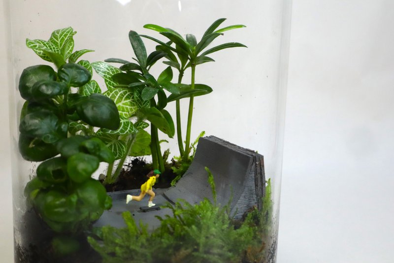 【微景观】滑丽登场 - 滑板/微景观/室内盆栽/生日礼物 - 植栽/盆栽 - 玻璃 绿色