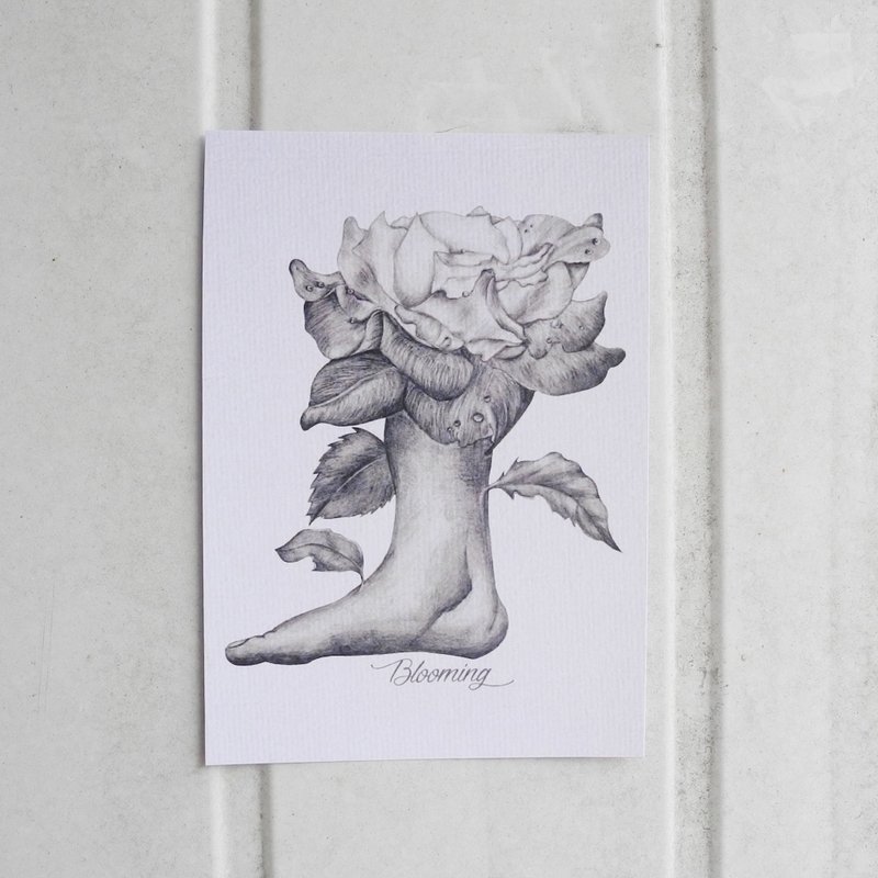 绽放素描 明信片 - 卡片/明信片 - 纸 灰色