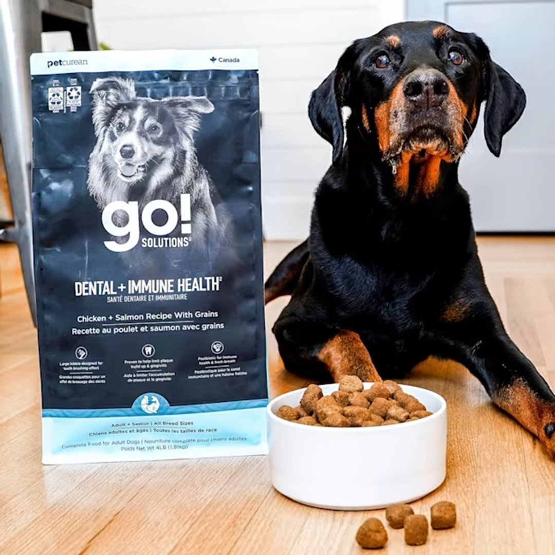 【狗主食】go! 口腔 + 免疫保健 鸡肉鲑鱼 成/老犬天然粮 大颗粒 - 狗罐头/鲜食 - 新鲜食材 