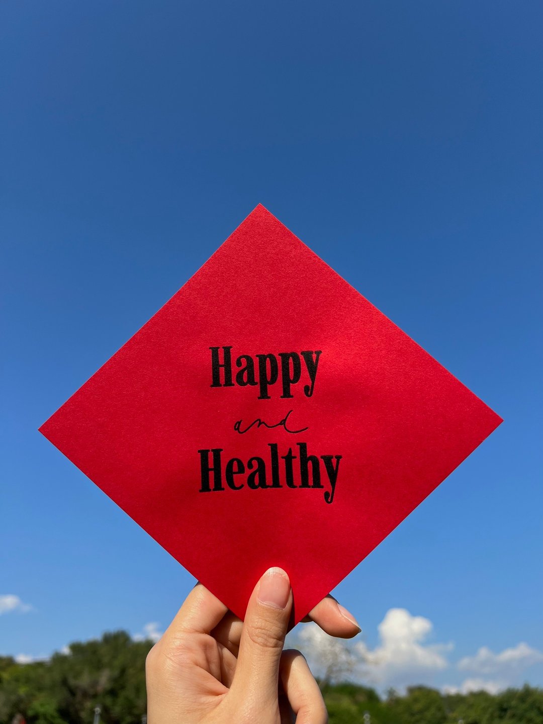 手工绢印英文春联 Happy and Healthy - 红包/春联 - 纸 红色