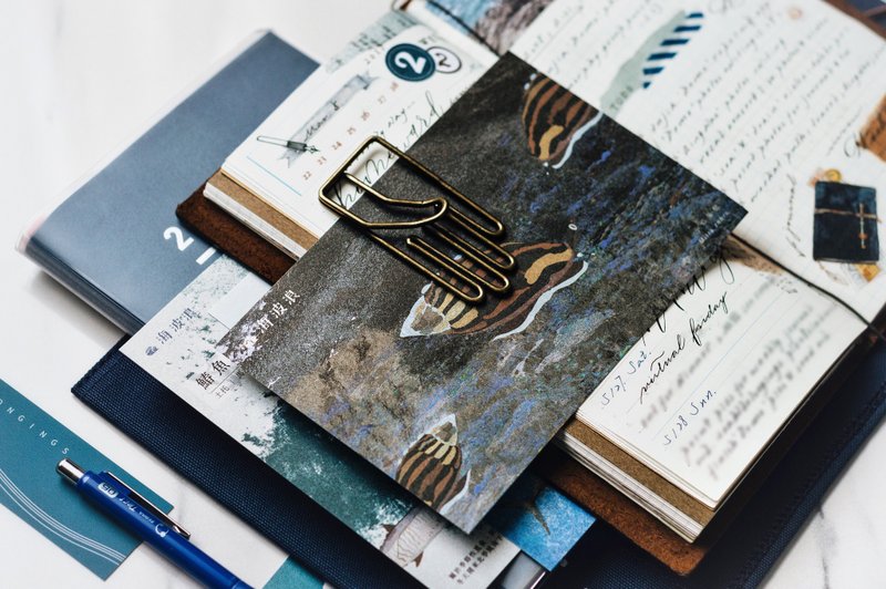 海波浪 海中贝类 小焰笔螺 明信片 - 卡片/明信片 - 纸 