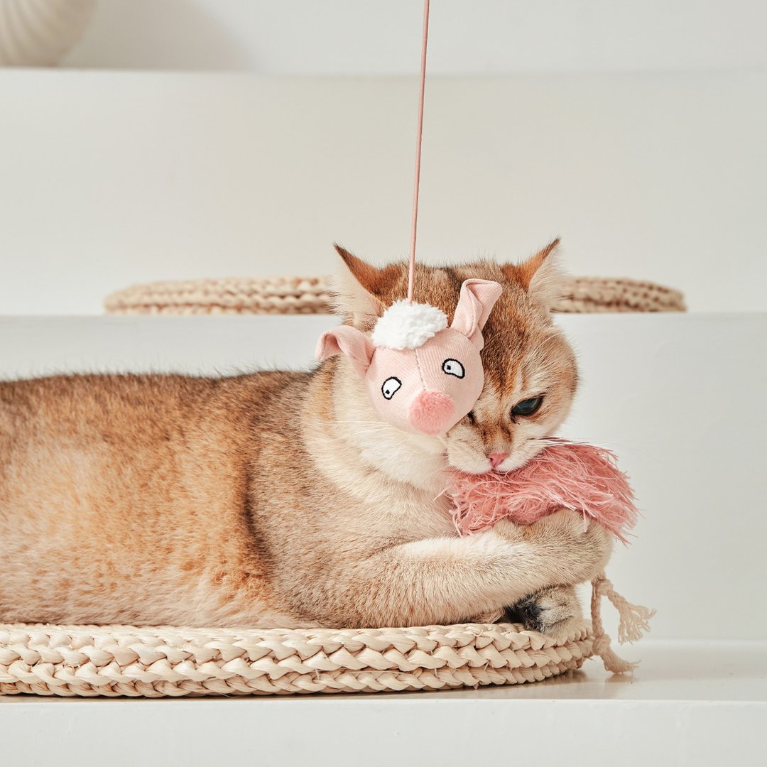 【猫玩具】Petsville派思维 弹个弹力逗猫绳(3款) - 玩具 - 玩具 - 聚酯纤维 多色