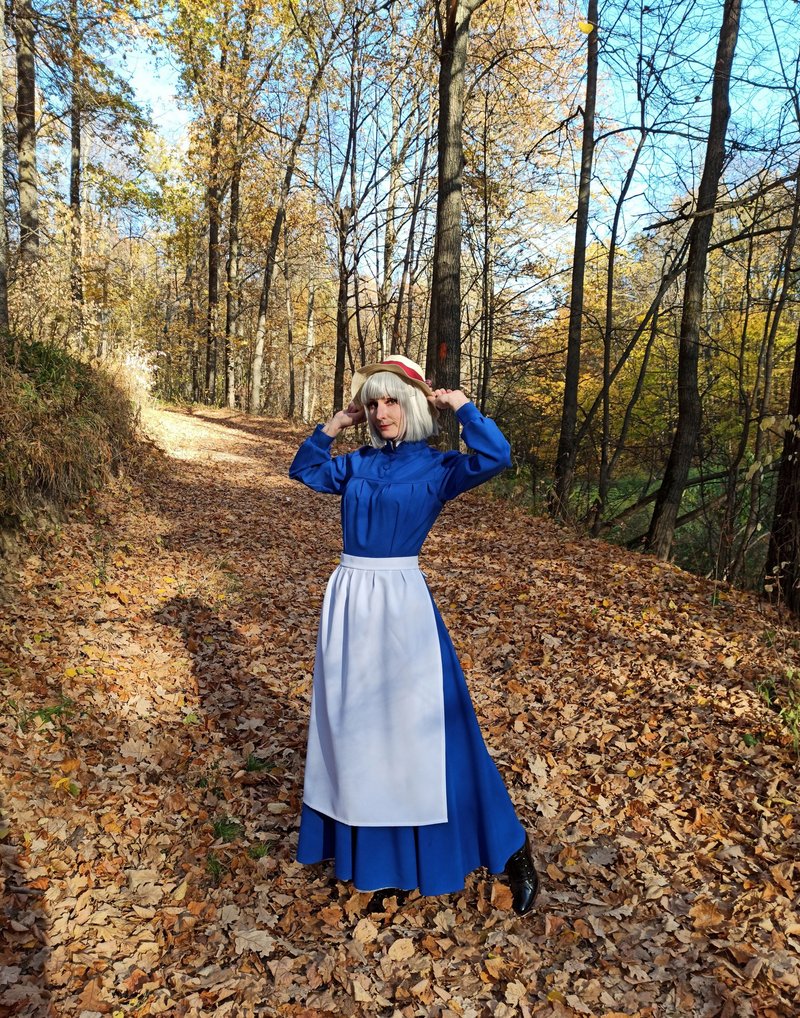 Sophie Hatter from Howls Moving Castle cosplay costume - 其他 - 其他材质 