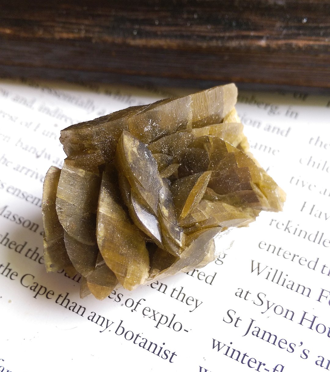 Siderite 贵州产地 菱铁矿 天然矿石 原矿 - 摆饰 - 其他材质 