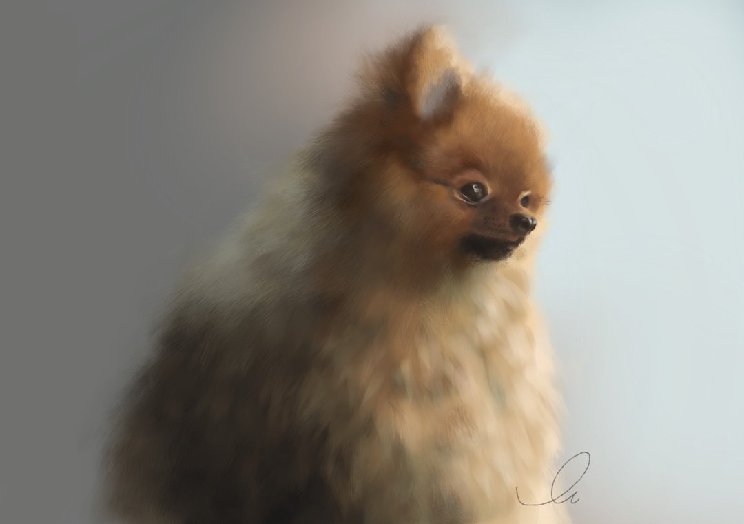 | 91art |似颜绘 - 宠物订制 - 务必详读商品信息 - 电子手绘真人画像/绘画/插画 - 其他材质 