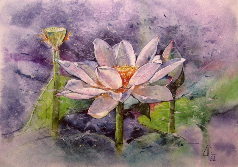 Lotus Original Watercolor Painting Lily Original Art Flowers Wall Art Lotus Art - 插画/绘画/写字 - 纸 粉红色