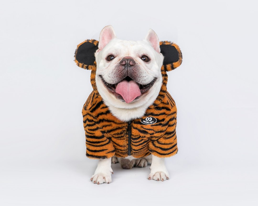 狗狗衣服猫咪衣服老虎毛绒宠物外套 - 衣/帽 - 聚酯纤维 橘色