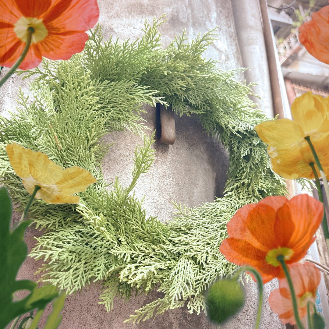 花园哩趣 DailyGarden 新鲜扁柏圣诞花圈 裸圈  Fresh Wreath - 干燥花/捧花 - 植物．花 绿色