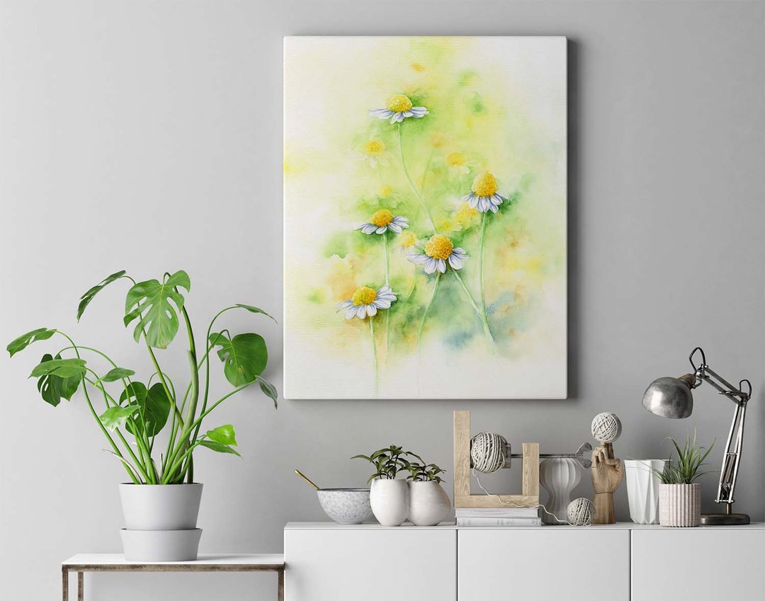 【洋甘菊】限量版复制画 | 疗愈菊科小白花 | 花卉水彩简约墙装饰 - 海报/装饰画/版画 - 纸 