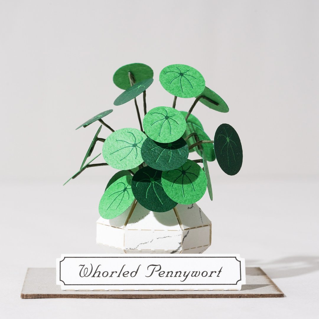 【铜钱草】 纸模型 纸植栽 材料包 纸风景 S| 9028402 - 木工/竹艺/纸艺 - 纸 