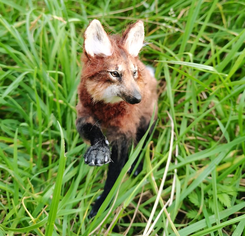 狼崽逼真的动物毛绒玩具！艺术娃娃 可摆姿势 定制 - 玩偶/公仔 - 其他人造纤维 多色