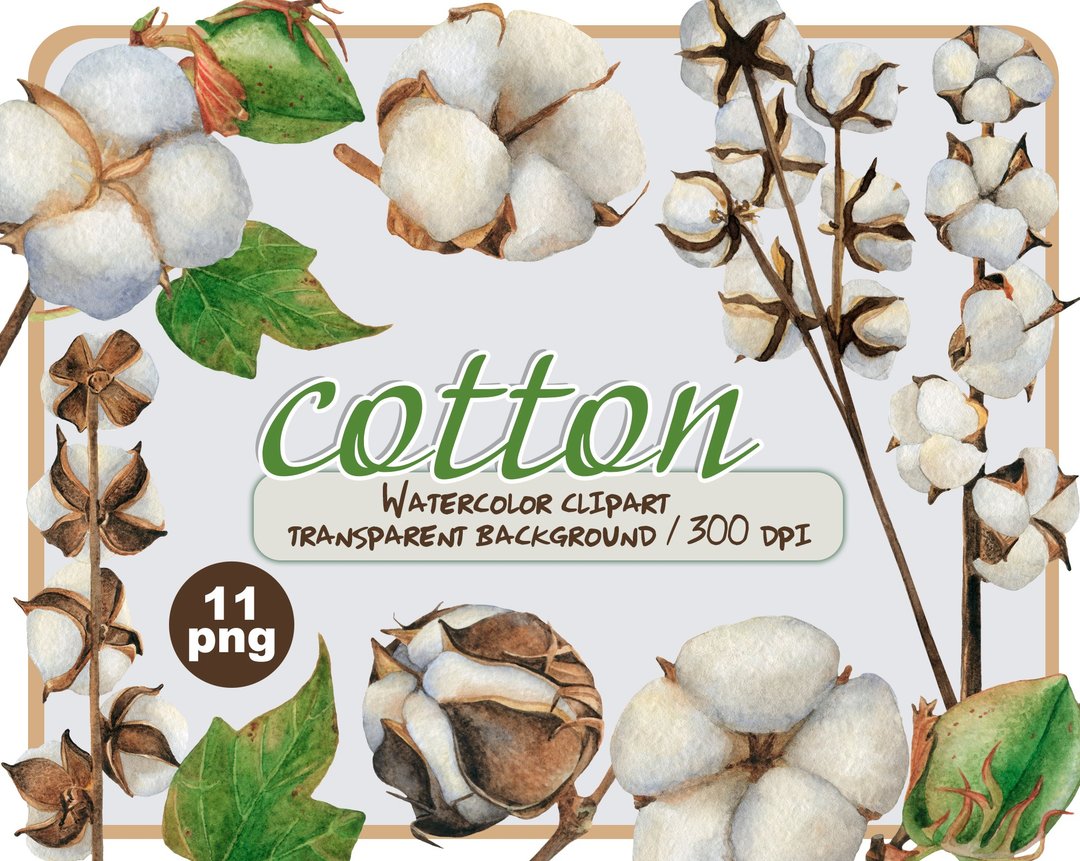 Watercolor cotton clipart set - cotton flower and leaves png - 插画/绘画/写字 - 其他材质 白色