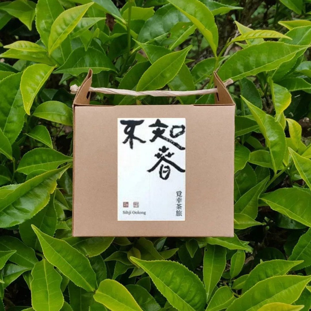 不知春 | 茶包10入【四季春茶】 - 茶 - 新鲜食材 